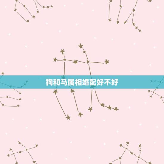 狗和马属相婚配好不好，为什么狗和马的生肖相配呢