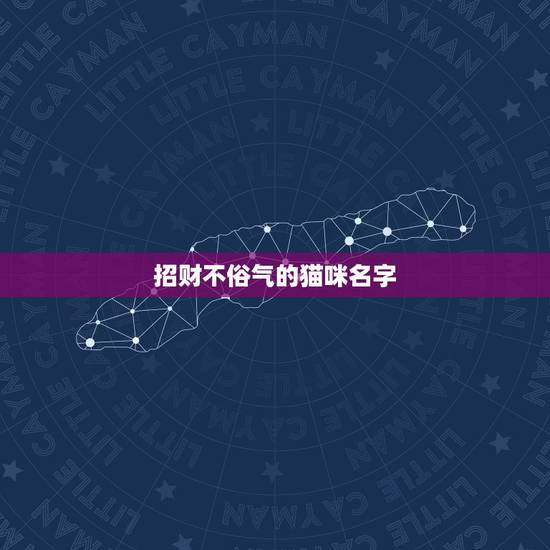 招财不俗气的猫咪名字,公猫起名带财运的名字 招财不俗气的猫咪名字,公猫起名带财运的名字
