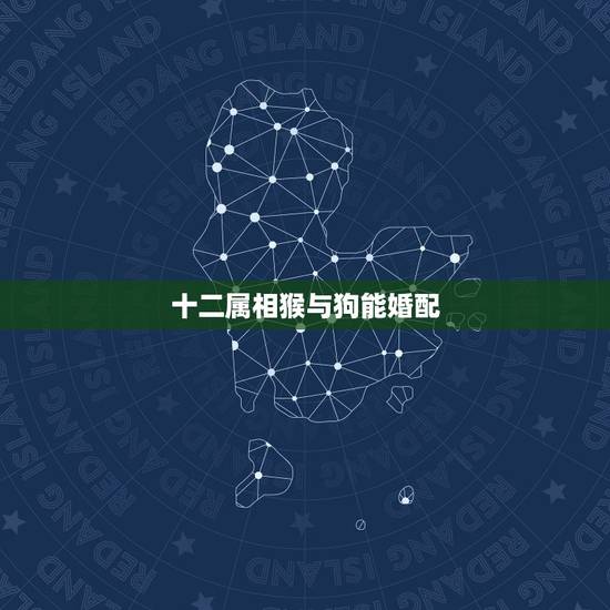 十二属相猴与狗能婚配，属猴和属狗的结婚会与哪些属相相冲