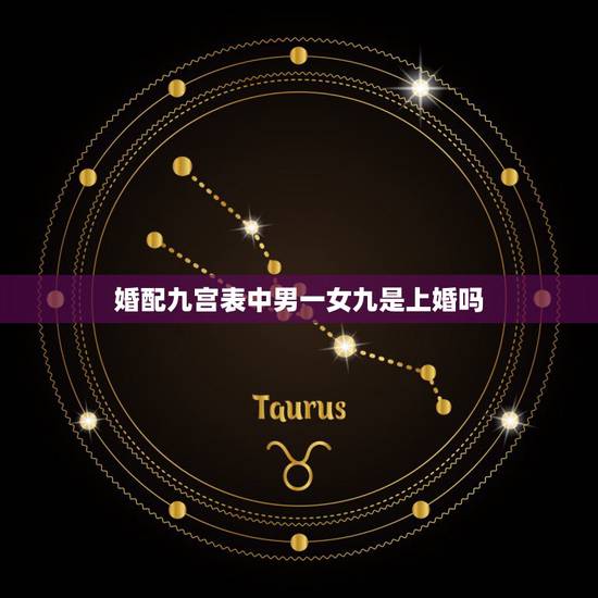 婚配九宫表中男一女九是上婚吗，男九宫女六宫是什么婚姻