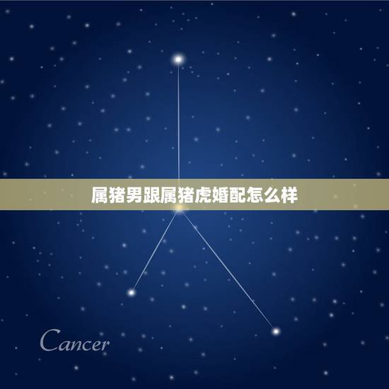 属猪男跟属猪虎婚配怎么样，谁知道男属猪女属虎相配吗？