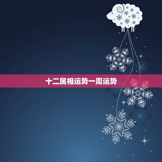 十二属相运势一周运势，2007年12生肖运势