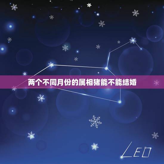 两个不同月份的属相猪能不能结婚,属猪人和什么属相的结婚不好 两个不同月份的属相猪能不能结婚,属猪人和什么属相的结婚不好