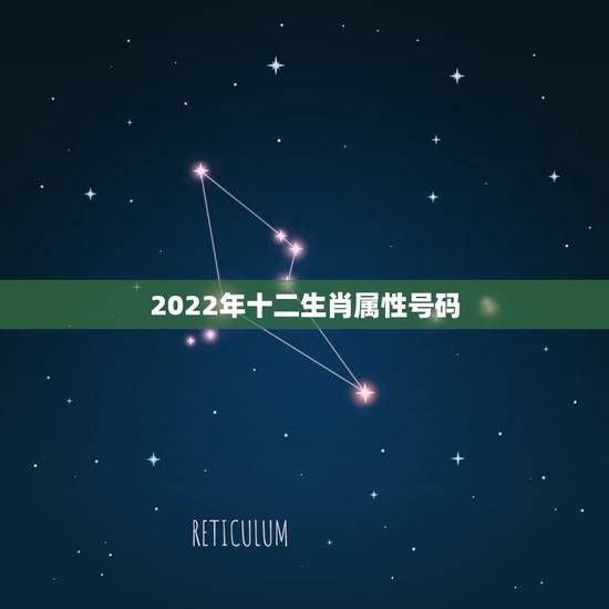 2022年十二生肖属性号码,2022 年生肖码表图 2022年十二生肖属性号码,2022 年生肖码表图