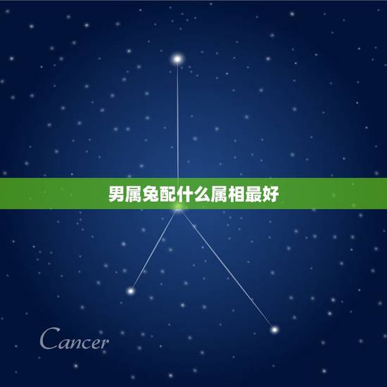 男属兔配什么属相最好,属兔的男人和什么属相最配 男属兔配什么属相最好,属兔的男人和什么属相最配