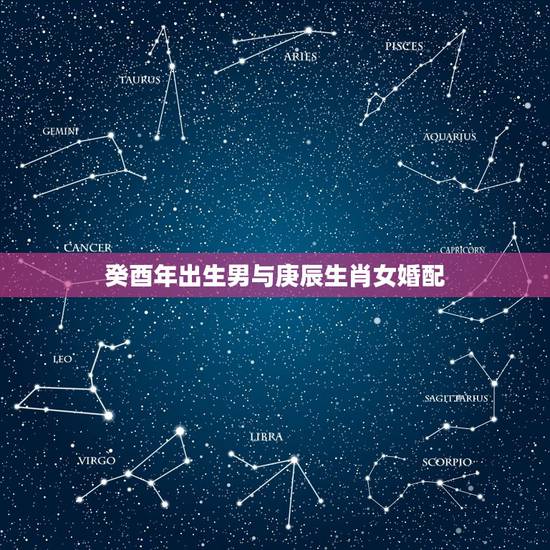 癸酉年出生男与庚辰生肖女婚配，1993癸酉年出生的人。男。2010年运