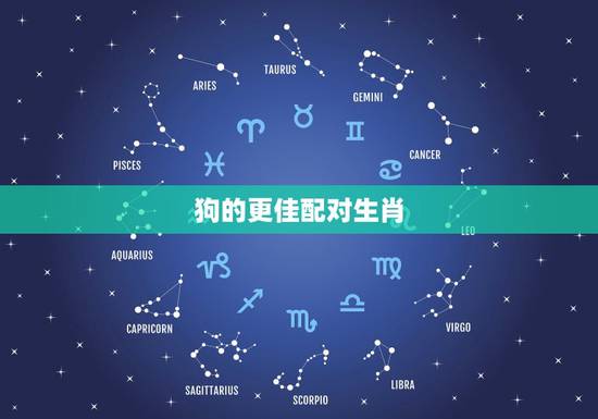 狗的更佳配对生肖,生肖狗绝佳婚配 狗的更佳配对生肖,生肖狗绝佳婚配