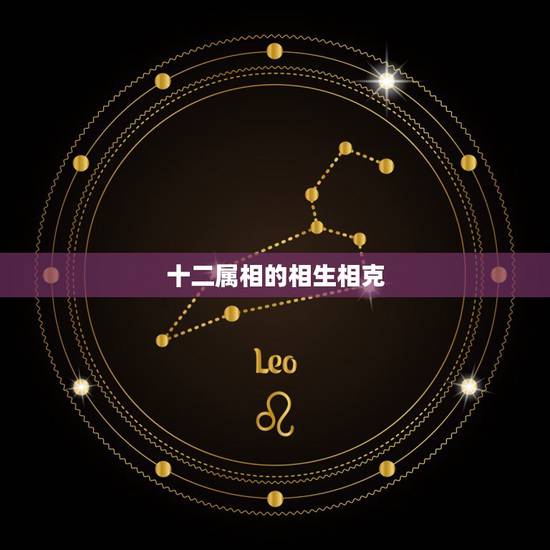 十二属相的相生相克，相生相克是什么生肖