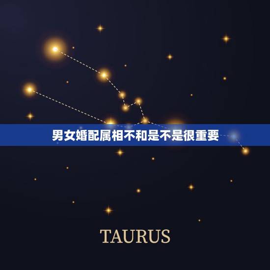 男女婚配属相不和是不是很重要，请教一个关于男女婚配八字属相等等合不合的