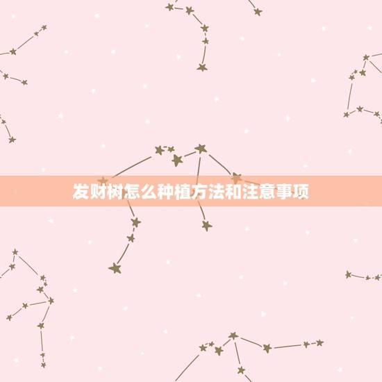 发财树怎么种植方法和注意事项，招财树的养殖方法和注意事项有哪些