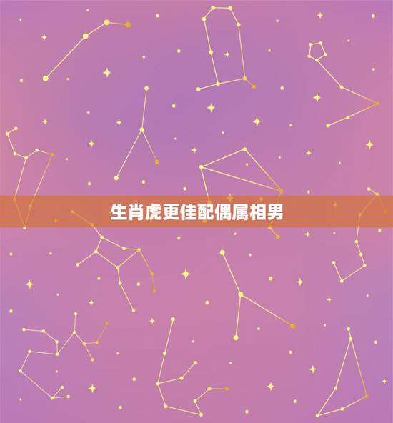 生肖虎更佳配偶属相男,93年属什么生肖 生肖虎更佳配偶属相男,93年属什么生肖