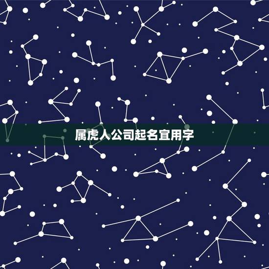 属虎人公司起名宜用字，用虎字给公司起名