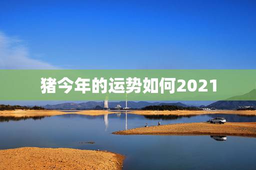 猪今年的运势如何2021，属猪人2021年运势运程每月运程