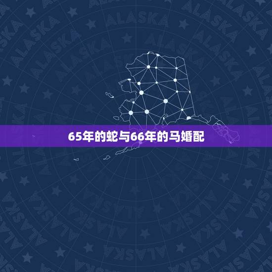 65年的蛇与66年的马婚配，大龄马找什么属相婚配好，66年男马，和65