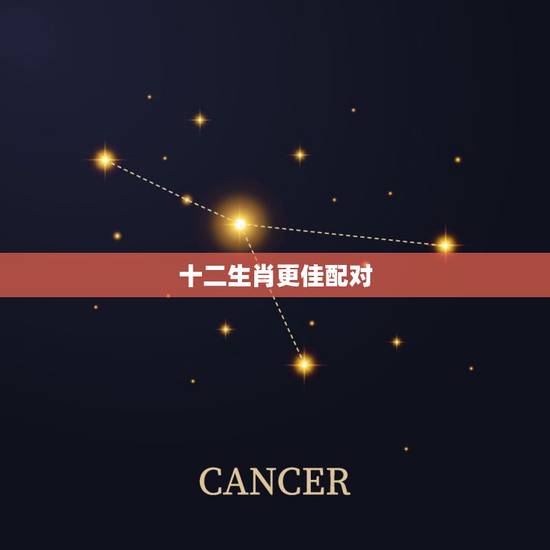 十二生肖更佳配对，十二生肖的搭配