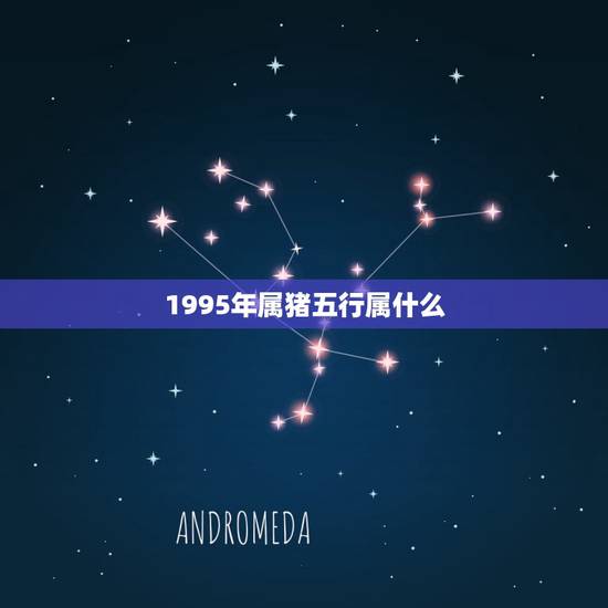 1995年属猪五行属什么，1995年属猪是什么命1995年属猪命运怎么