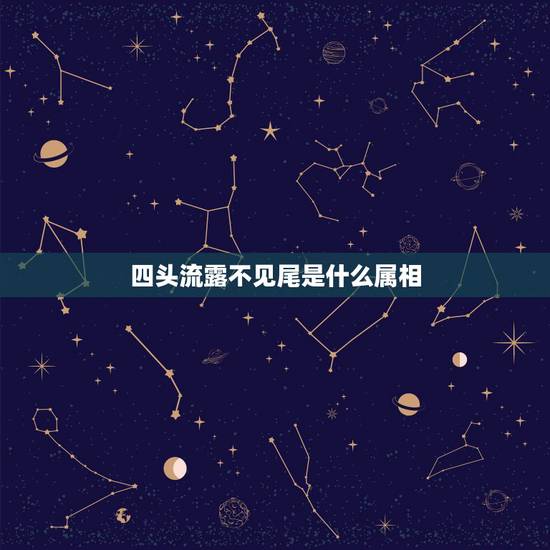 四头流露不见尾是什么属相，五蛇六鼠不毒辣，四头流露不见尾打一生肖