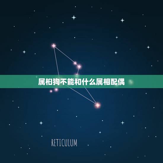 属桕狗不能和什么属相配偶,属狗的不能和什么属相在一起 属桕狗不能和什么属相配偶,属狗的不能和什么属相在一起