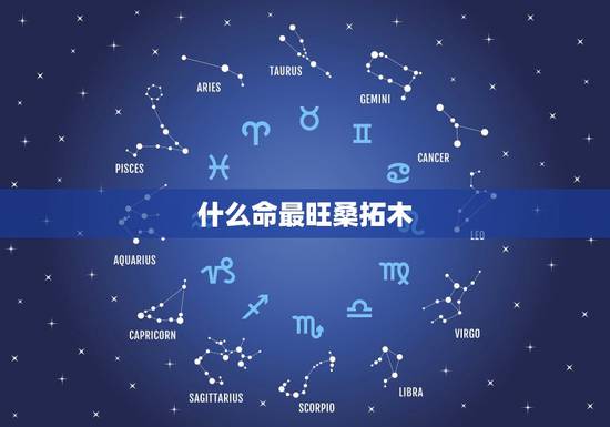 什么命最旺桑拓木,免费生辰八字五行查询 什么命最旺桑拓木,免费生辰八字五行查询
