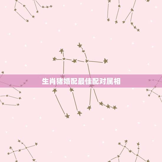 生肖猪婚配最佳配对属相,属猪的属相婚配表,属猪和什么属相最配 生肖猪婚配最佳配对属相,属猪的属相婚配表,属猪和什么属相最配