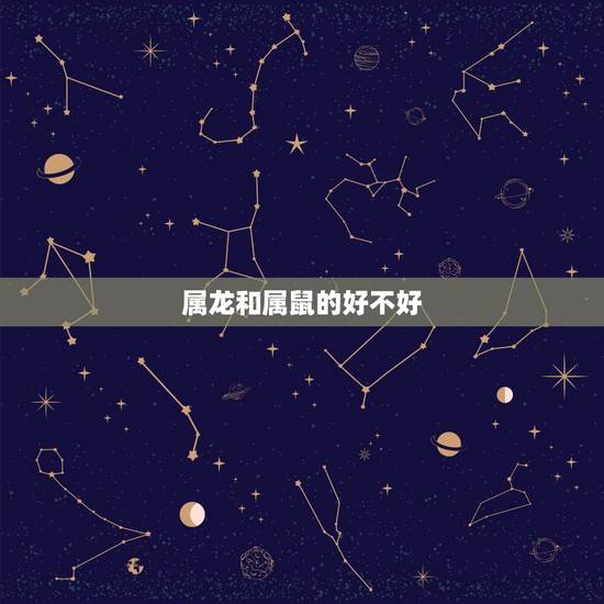 属龙和属鼠的好不好,属龙和属鼠的合作事业 属龙和属鼠的好不好,属龙和属鼠的合作事业