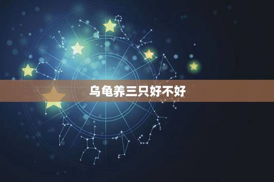 乌龟养三只好不好,从风水上讲 家里养两只龟好还是三只好? 乌龟养三只好不好,从风水上讲 家里养两只龟好还是三只好?