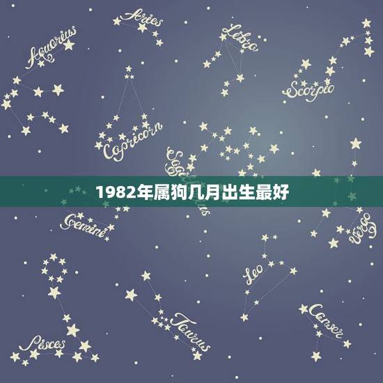 1982年属狗几月出生最好，1982年属狗几月出生好