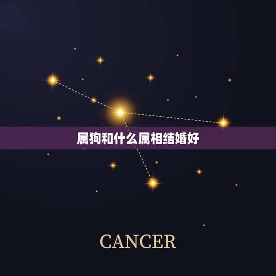 属狗和什么属相结婚好,属狗的人和属什么的人结婚好 属狗和什么属相结婚好,属狗的人和属什么的人结婚好