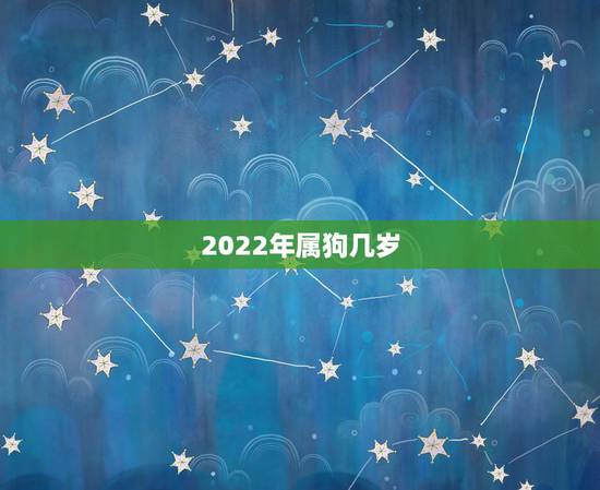 2022年属狗几岁，2022年属狗人的全年运势