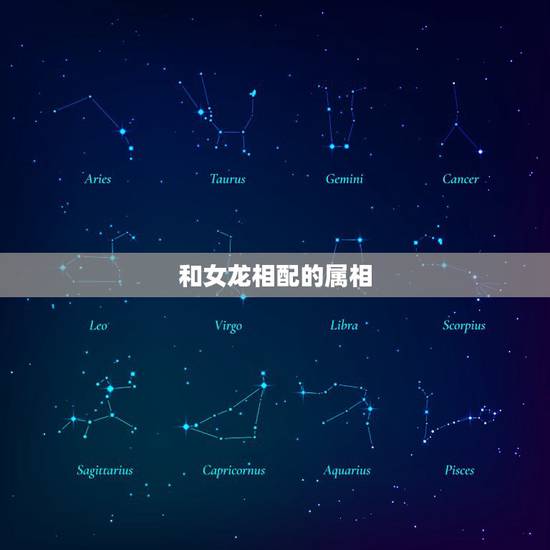和女龙相配的属相，女龙跟什么属相和