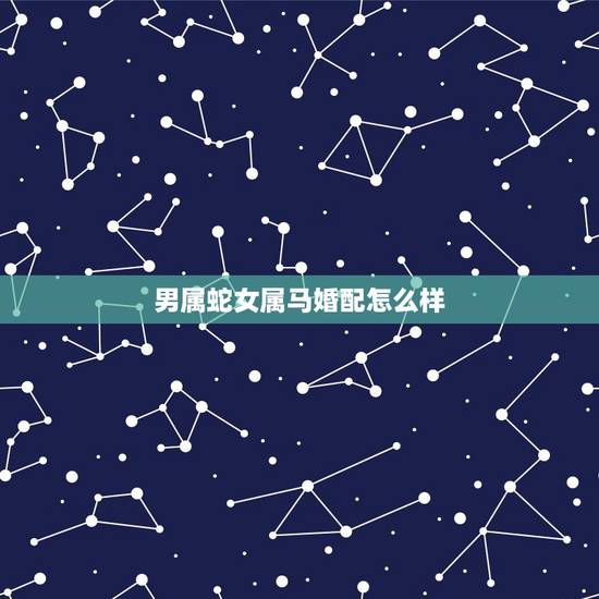 男属蛇女属马婚配怎么样，男属蛇女属马婚姻如何？
