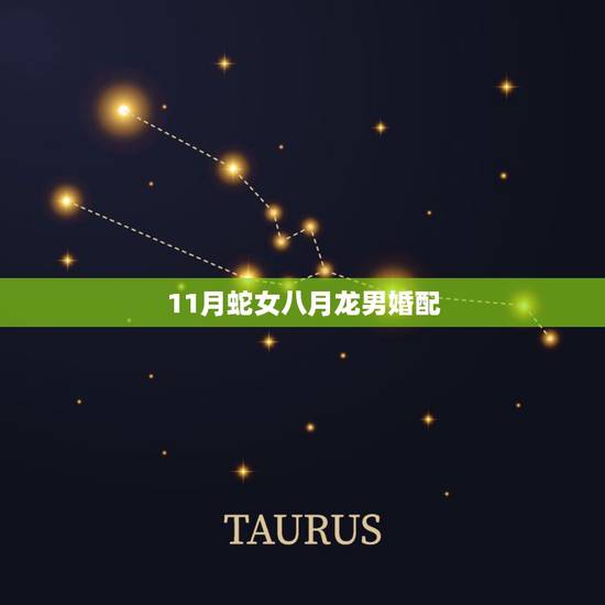11月蛇女八月龙男婚配，属龙男和属蛇女婚配会幸福吗？
