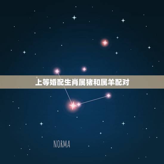 上等婚配生肖属猪和属羊配对，属羊的属相婚配表 属羊的适合和什么属相相配
