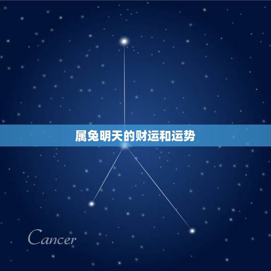 属兔明天的财运和运势,属兔明日运势 属兔明天的财运和运势,属兔明日运势