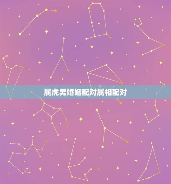 属虎男婚姻配对属相配对，属虎男更佳婚配