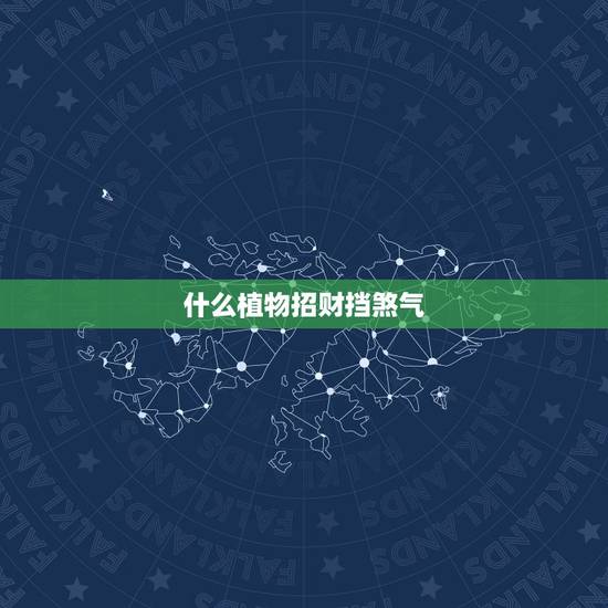 什么植物招财挡煞气,请问挡煞气的绿色植物有哪些 什么植物招财挡煞气,请问挡煞气的绿色植物有哪些