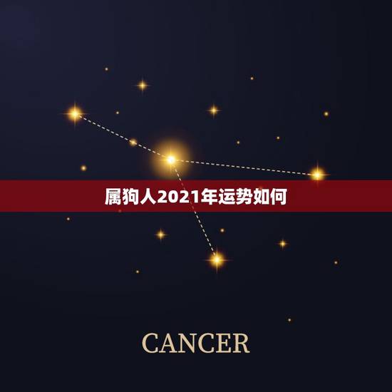 属狗人2021年运势如何，58年属狗2021年运势及运程