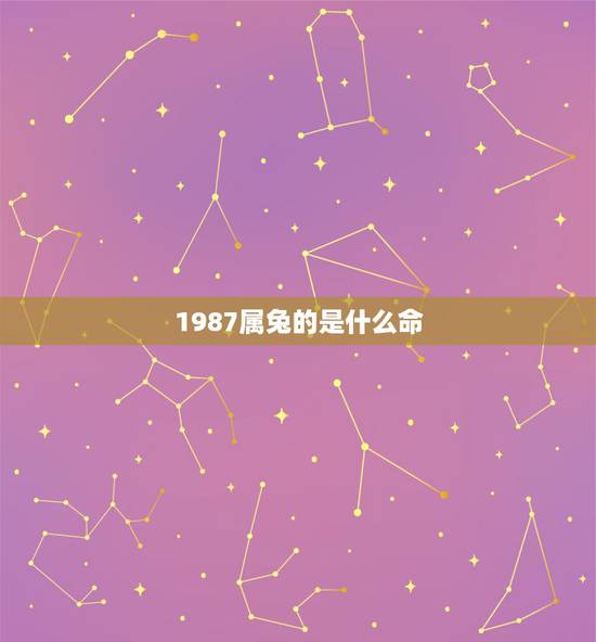 1987属兔的是什么命,87年属兔的做什么生意最旺 1987属兔的是什么命,87年属兔的做什么生意最旺