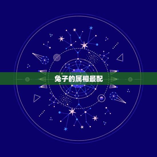兔子的属相最配，生肖属兔的婚配表大全