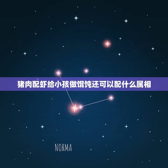 猪肉配虾给小孩做馄饨还可以配什么属相,用鲜虾包混沌放什么菜好 猪肉配虾给小孩做馄饨还可以配什么属相,用鲜虾包混沌放什么菜好