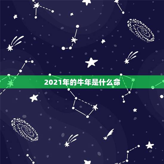 2021年的牛年是什么命，2021牛年是什么年？