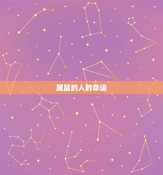 属鼠的人的命运，72年出生属鼠人的命运