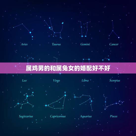 属鸡男的和属兔女的婚配好不好，属鸡和属兔相处谁受伤