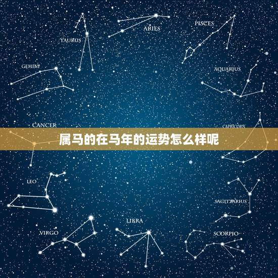 属马的在马年的运势怎么样呢，属马在虎年的运势，烦请大师给予启示！谢谢~