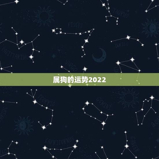 属狗的运势2022,2022年12生肖运势解析 属狗的运势2022,2022年12生肖运势解析
