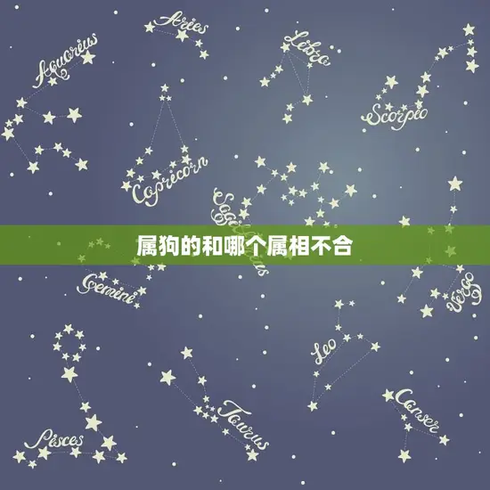 属狗的和哪个属相不合 属狗的和哪个属相不合