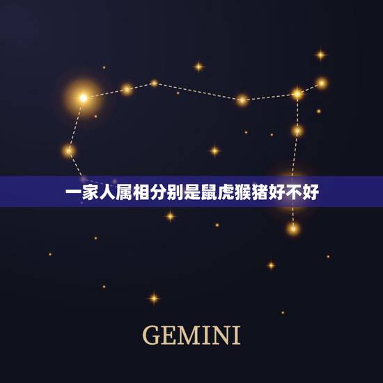 一家人属相分别是鼠虎猴猪好不好，家里4个人，一个属虎，三个属猴的，这样