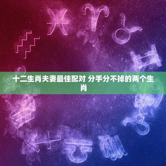 十二生肖夫妻最佳配对 分手分不掉的两个生肖