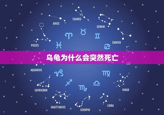 乌龟为什么会突然死亡,中华草龟怎么突然死了 乌龟为什么会突然死亡,中华草龟怎么突然死了