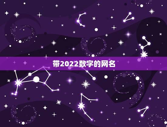 带2022数字的网名，2021最火的网名带特殊符号